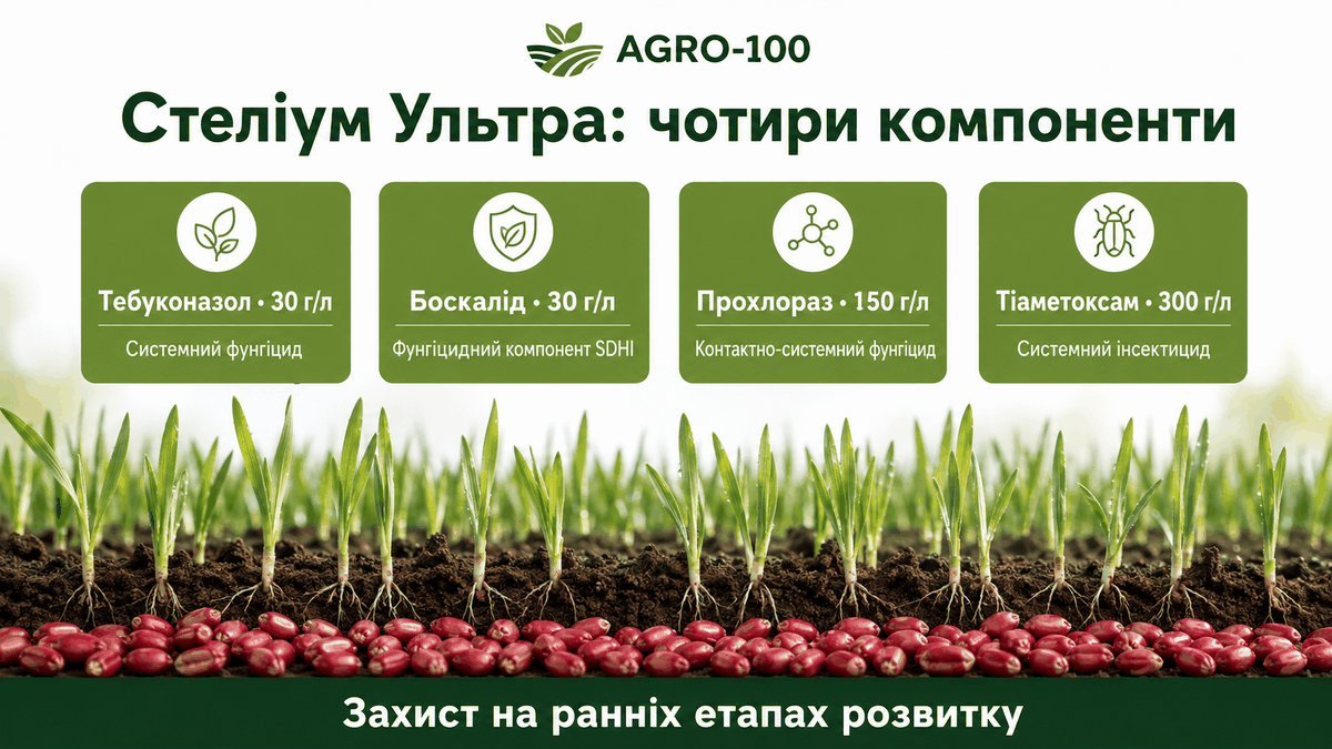 Чотири компоненти Стеліум Ультра та їхні функції